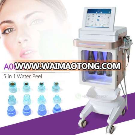 5 in 1 Hydropeel Hydrafacial Beauty Machine