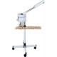 YC-909-1 new design ozone vapor sanding type facial steamer with timer